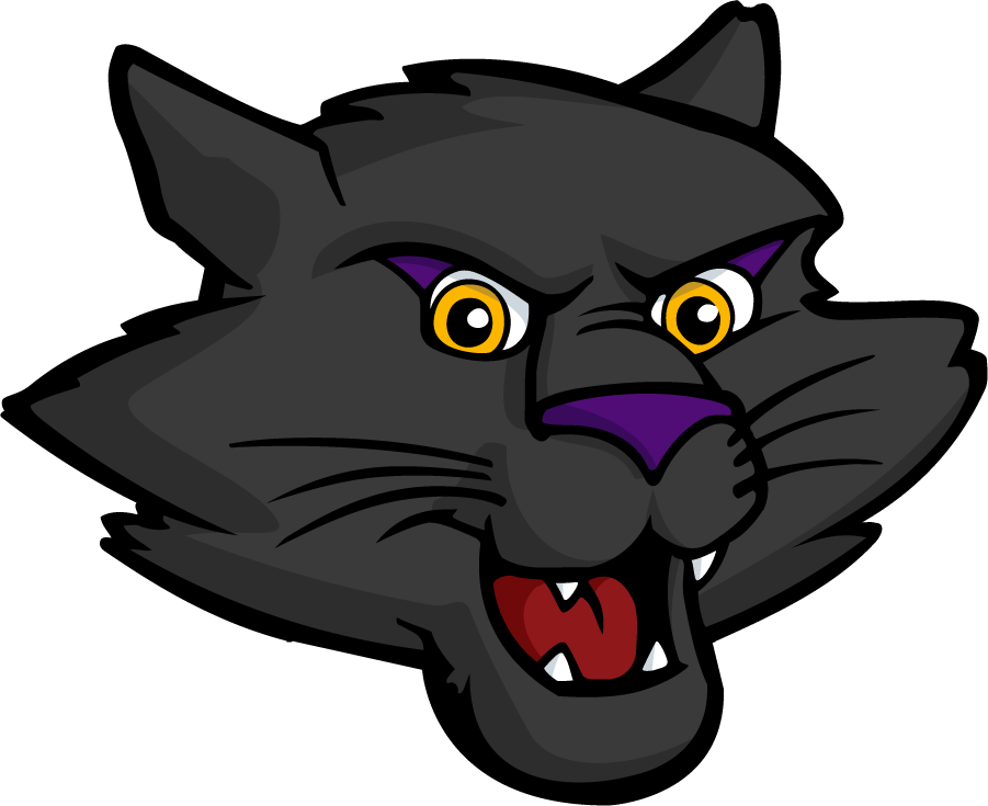 Northern Iowa Panthers 2021-Pres Mascot Logo v2 DIY iron on transfer (heat transfer)